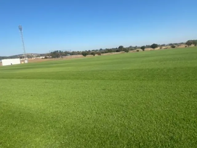 Nkuna Greens completed turf and grounds project 21