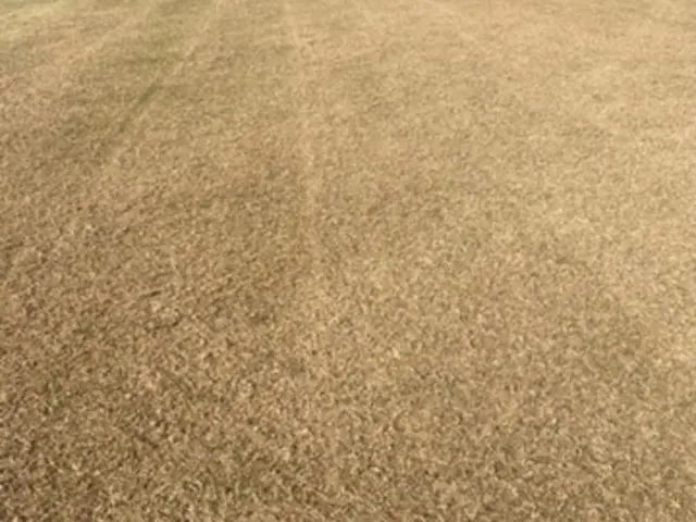 Nkuna Greens completed turf and grounds project 23
