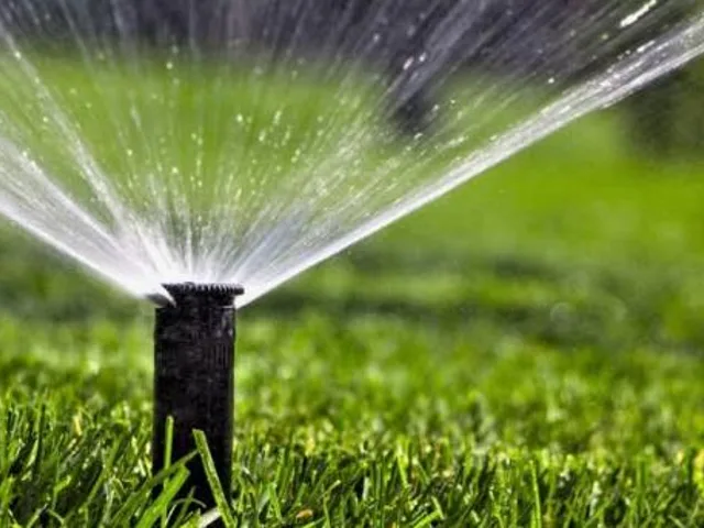 Pop-up sprinkler watering grass